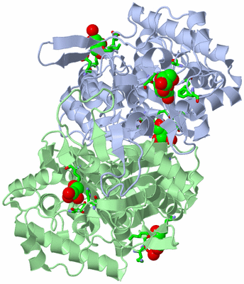 Image Asym./Biol. Unit - sites