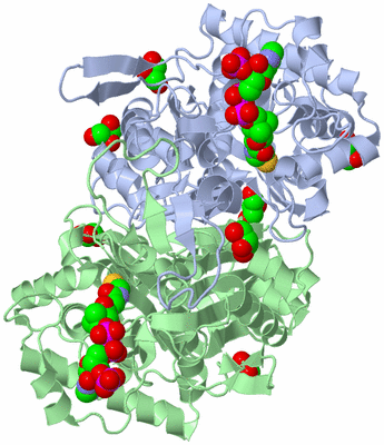 Image Asym./Biol. Unit