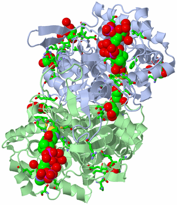 Image Asym./Biol. Unit - sites