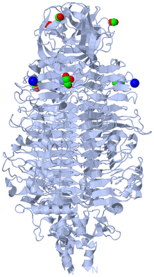 Image Biological Unit 1