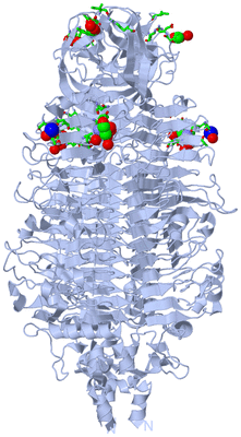 Image Biol. Unit 1 - sites