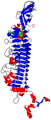 Image Asym. Unit - sites