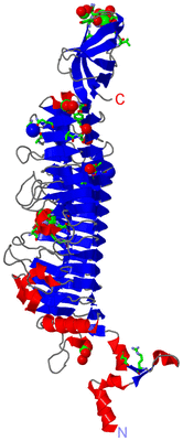 Image Asym. Unit - sites