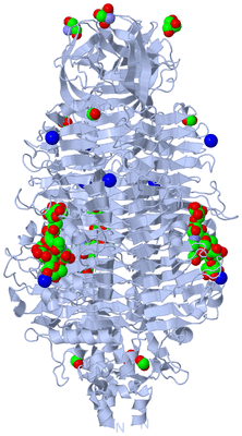 Image Biological Unit 1