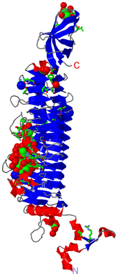 Image Asym. Unit - sites