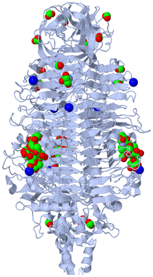 Image Biological Unit 1