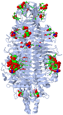 Image Biol. Unit 1 - sites