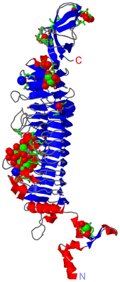 Image Asym. Unit - sites