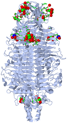 Image Biol. Unit 1 - sites