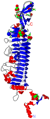 Image Asym. Unit - sites