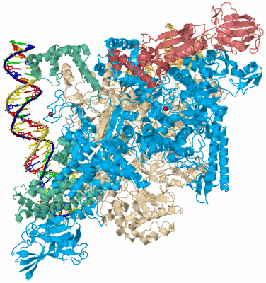 Image Biological Unit 2