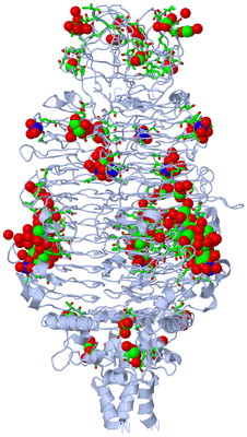 Image Biol. Unit 1 - sites