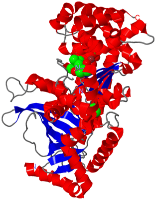 Image Asym./Biol. Unit