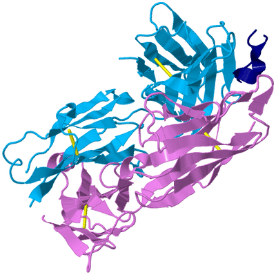 Image Biological Unit 3