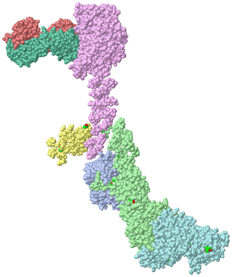 Image Asym./Biol. Unit