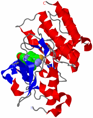 Image Asym./Biol. Unit