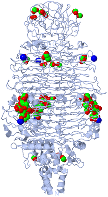 Image Biological Unit 1