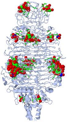 Image Biol. Unit 1 - sites