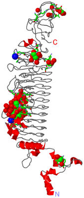 Image Asym. Unit - sites