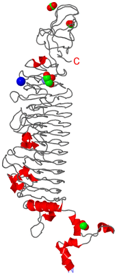 Image Asymmetric Unit