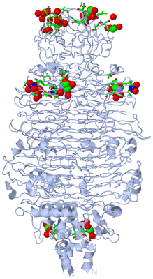 Image Biol. Unit 1 - sites