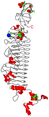 Image Asym. Unit - sites