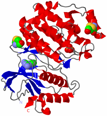 Image Asym./Biol. Unit