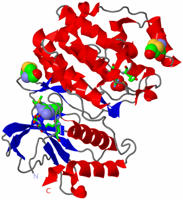 Image Asym./Biol. Unit - sites