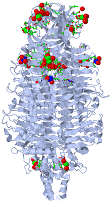 Image Biol. Unit 1 - sites