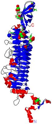 Image Asym. Unit - sites