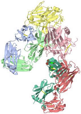 Image Asym./Biol. Unit - sites