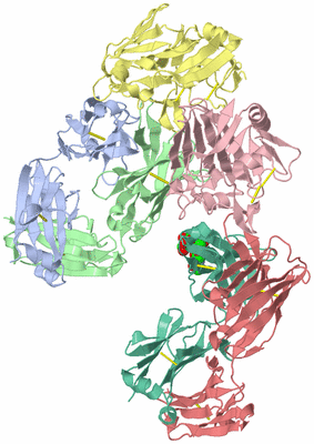 Image Asym./Biol. Unit