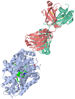 Image Asym./Biol. Unit - sites