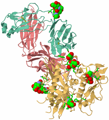 Image Biol. Unit 1 - sites