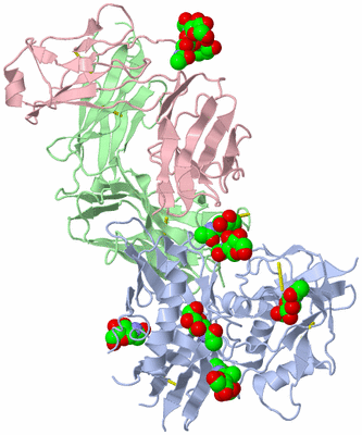 Image Biological Unit 2