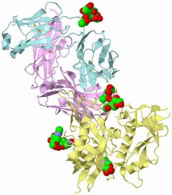 Image Biological Unit 3