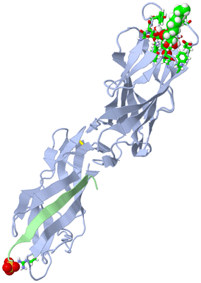 Image Biol. Unit 1 - sites