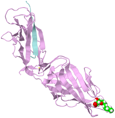 Image Biological Unit 3