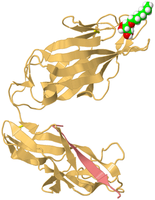 Image Biological Unit 4