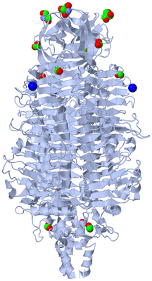 Image Biological Unit 1