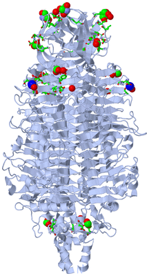 Image Biol. Unit 1 - sites