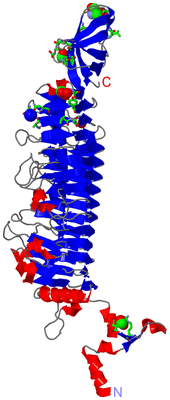 Image Asym. Unit - sites