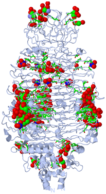 Image Biol. Unit 1 - sites