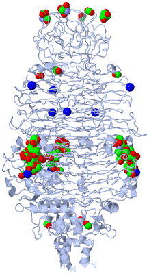 Image Biological Unit 1