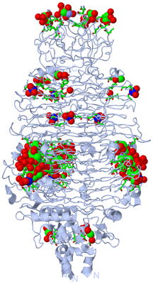 Image Biol. Unit 1 - sites