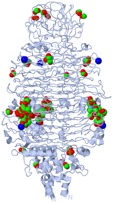 Image Biological Unit 1