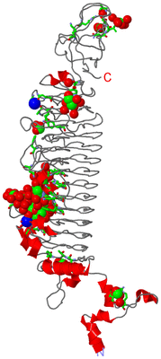 Image Asym. Unit - sites