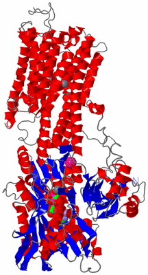 Image Asym./Biol. Unit