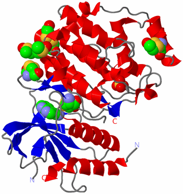 Image Asym./Biol. Unit