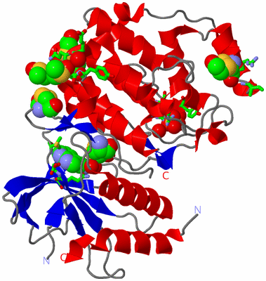 Image Asym./Biol. Unit - sites